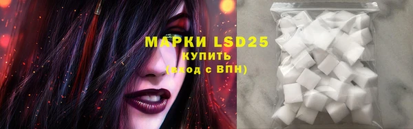 apvp Белокуриха
