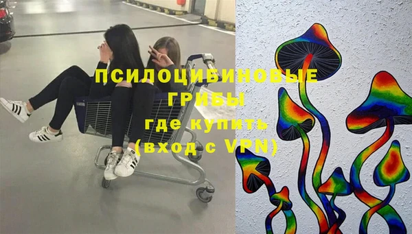 прущие грибы Беломорск