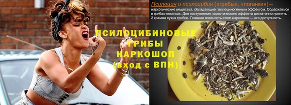прущие грибы Беломорск