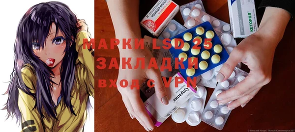 индика Белоозёрский