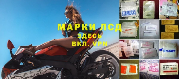 индика Белоозёрский